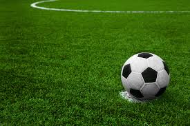 Image result for sports artificial grass